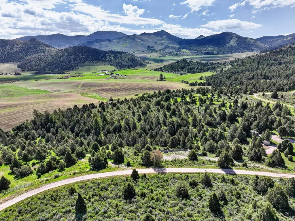 Picture 5