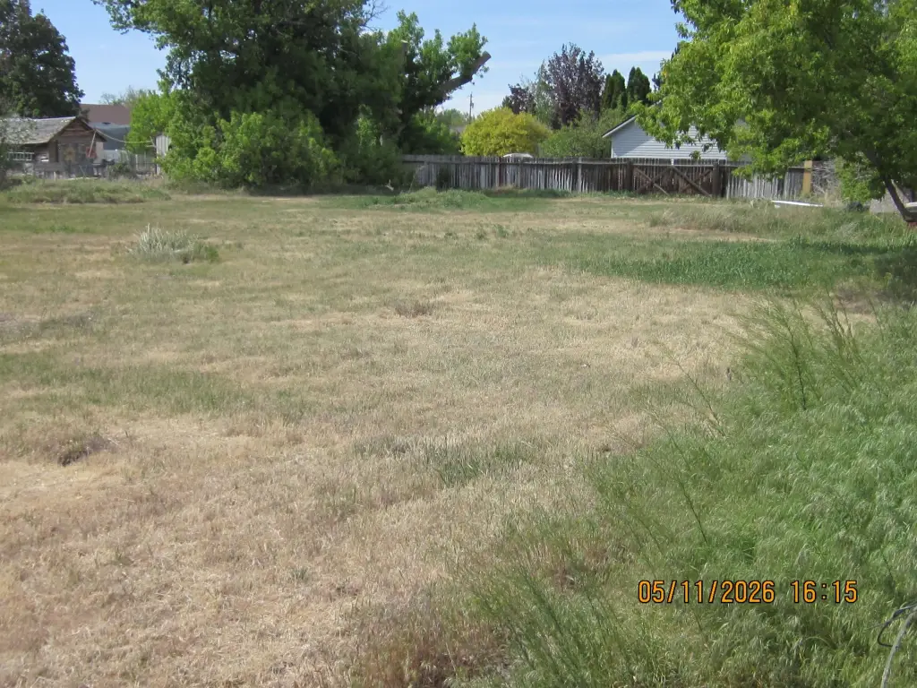 Picture 9