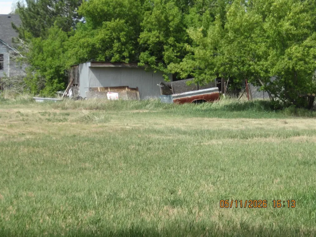 Picture 3
