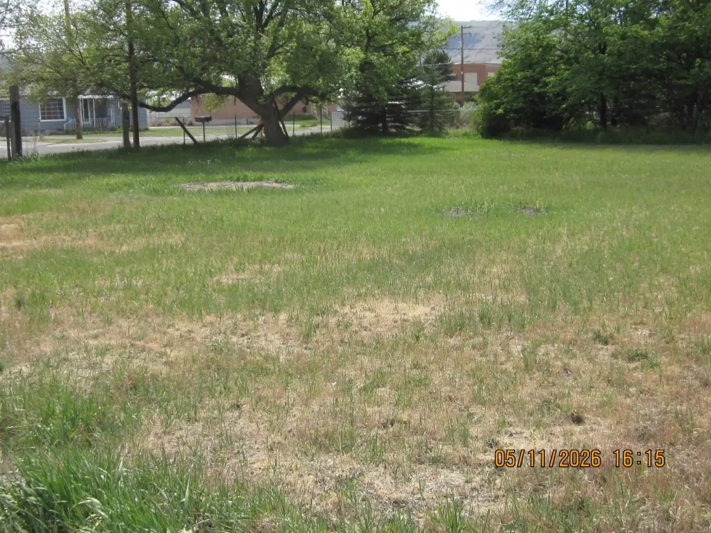Picture 8