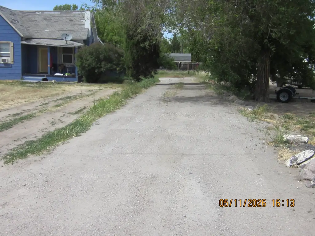 Picture 5