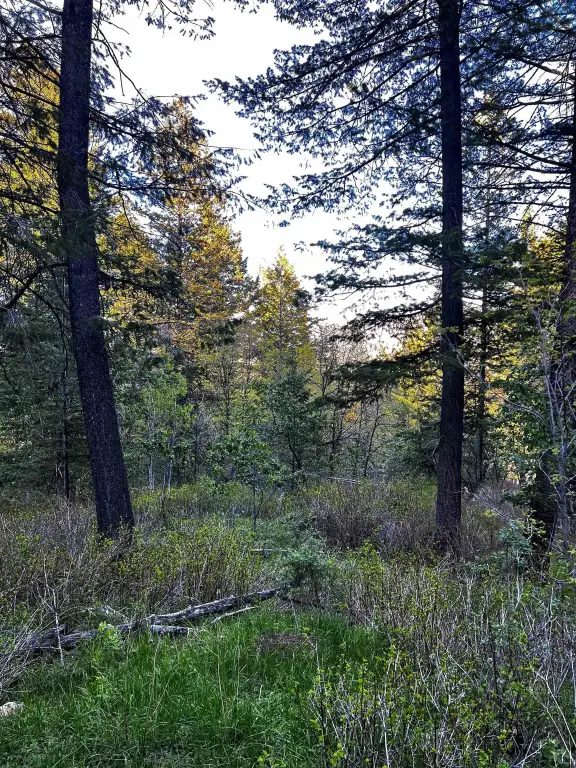 Picture 19