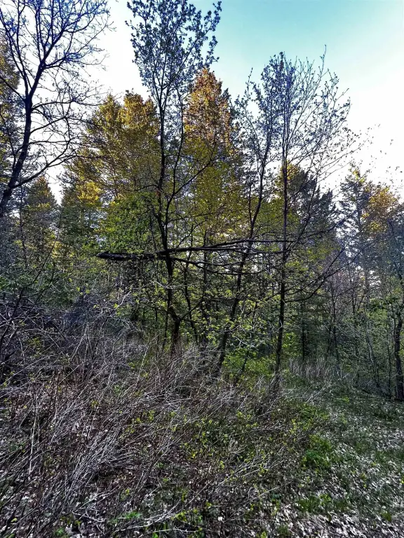 Picture 18