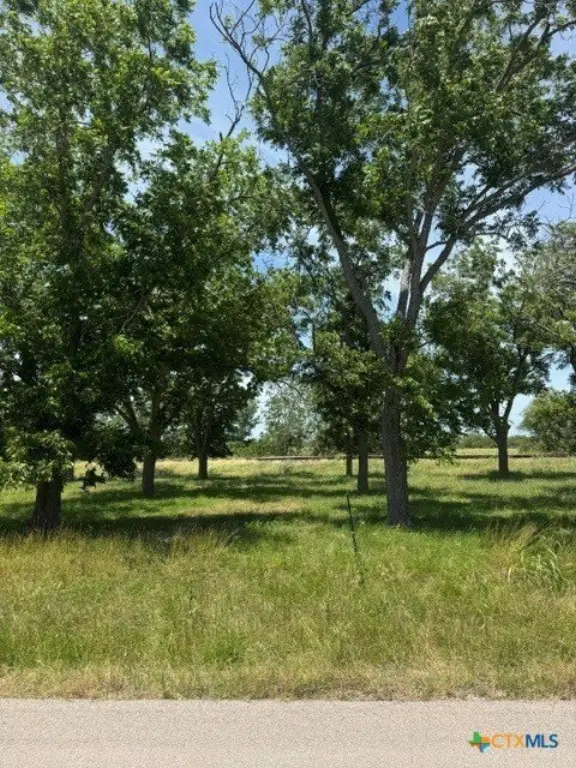 Picture 3