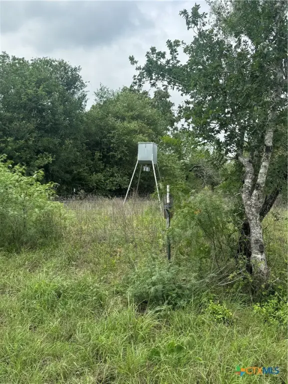 Picture 23