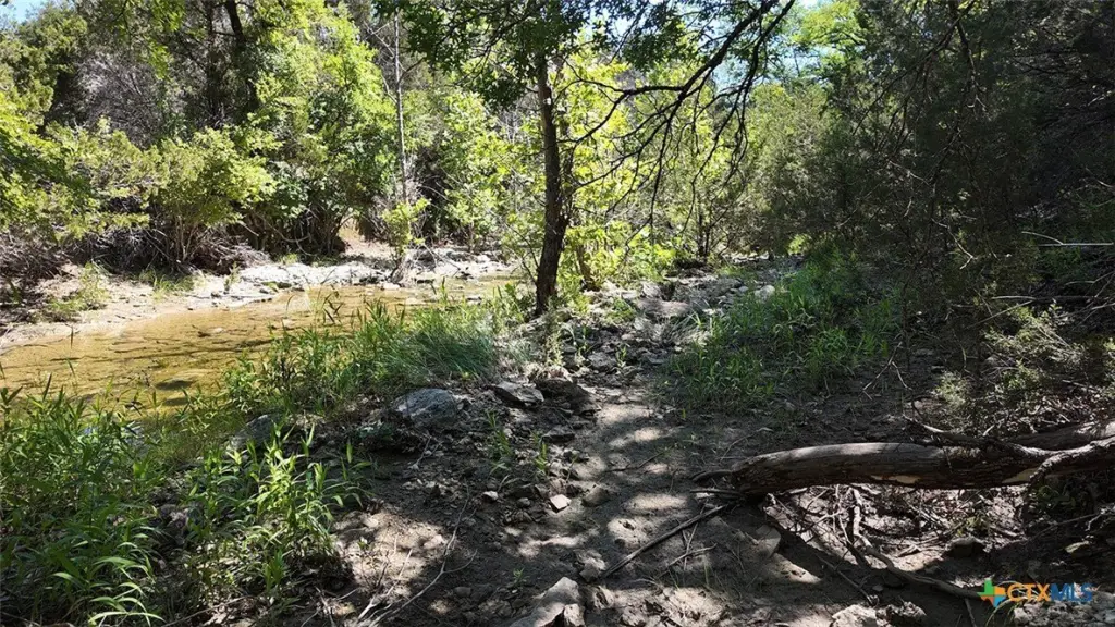 Picture 21