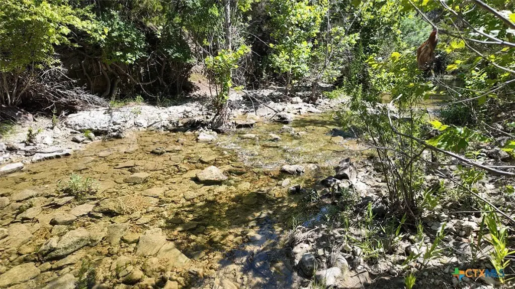Picture 22