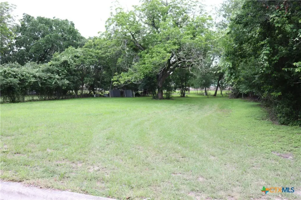 Picture 4