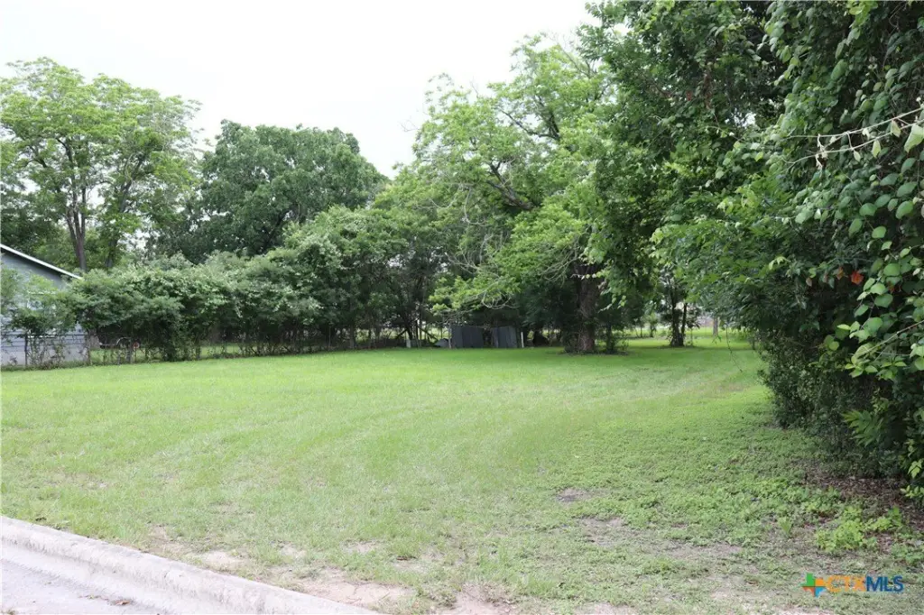 Picture 9