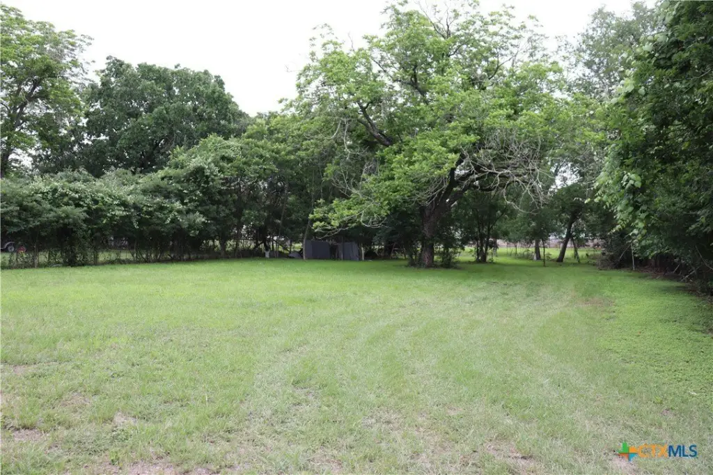 Picture 3