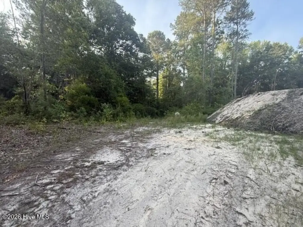Picture 5