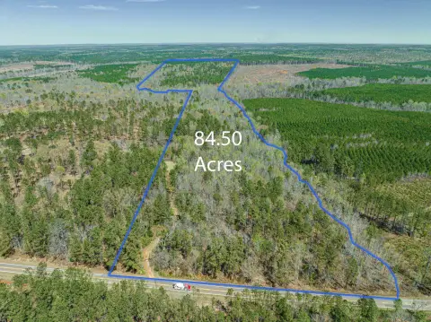 84.5 Acres of Prime Hunting Land