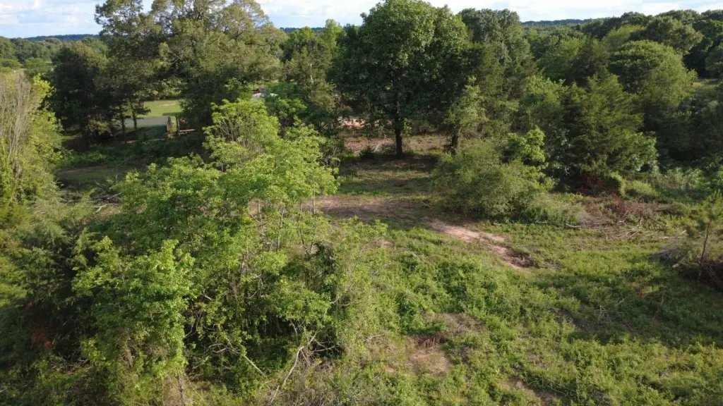 Picture 12