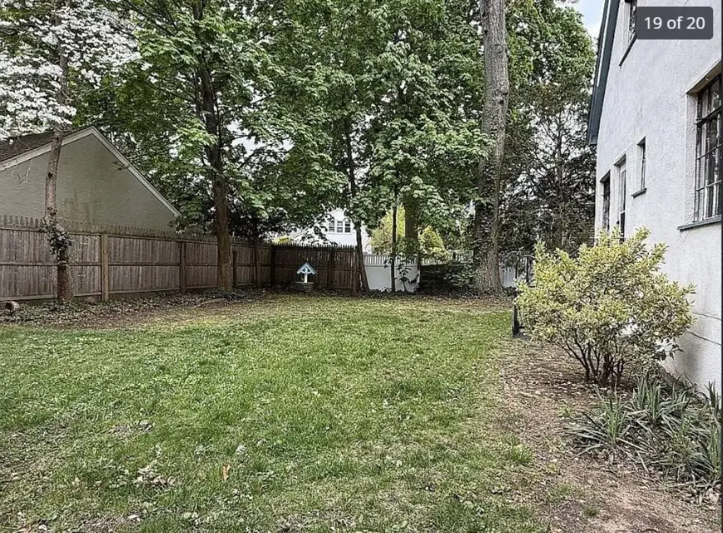 Picture 20