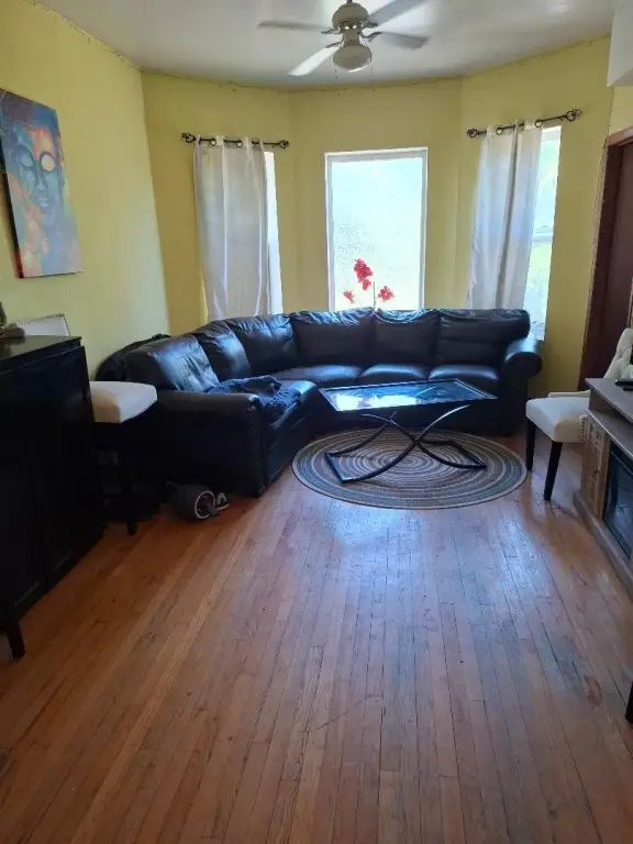 Picture 15