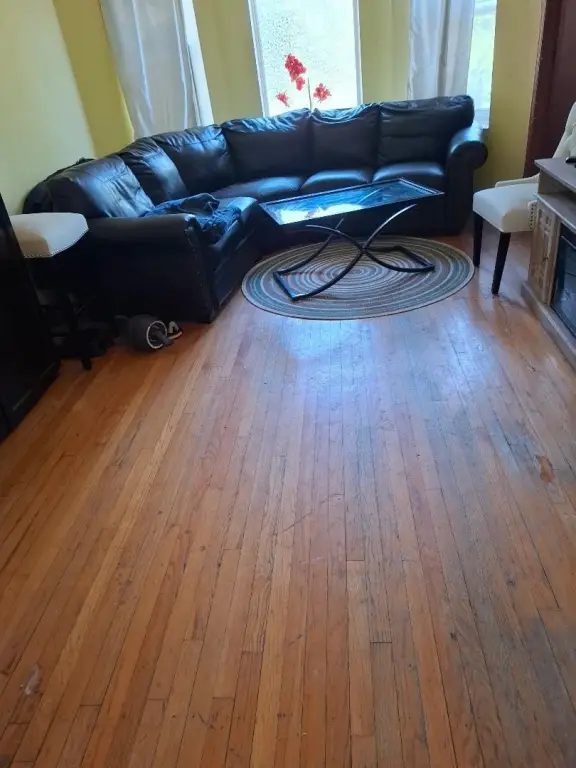 Picture 14