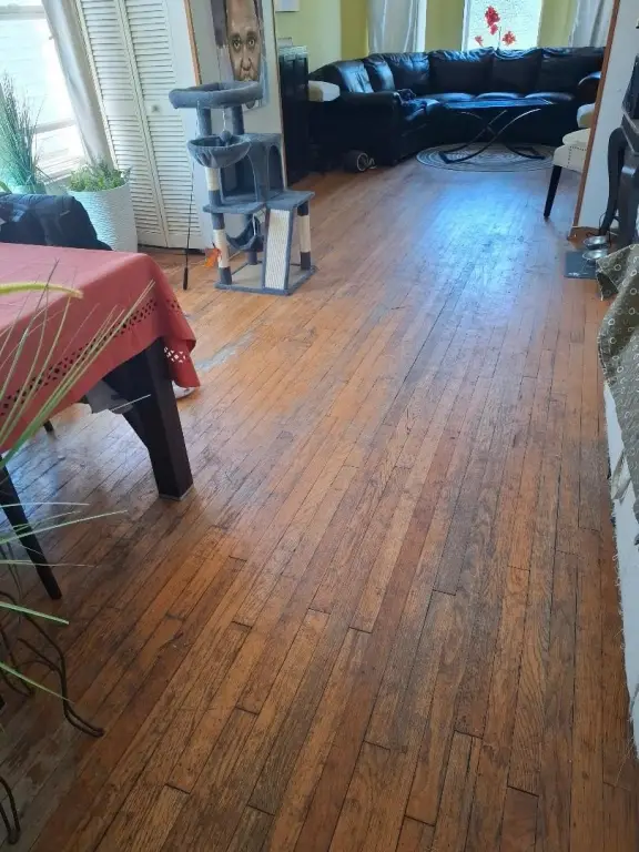 Picture 17