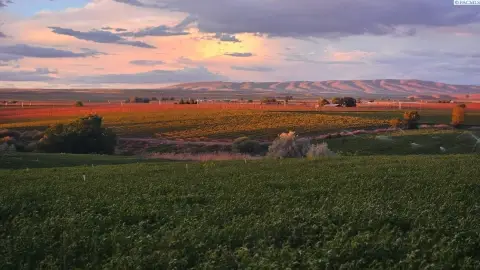 Prosser Agricultural Land with Irrigation