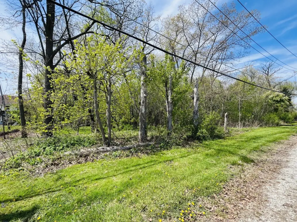Picture 6