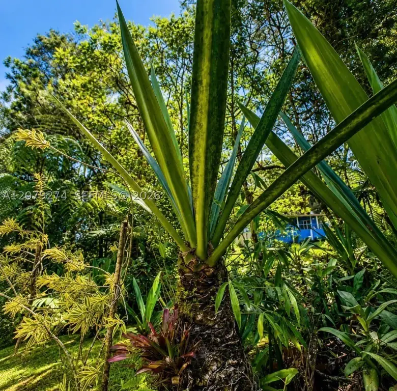 Picture 20