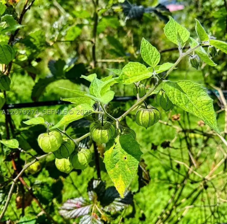 Picture 30