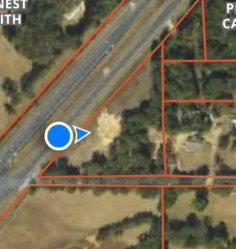 Land Near Lake Palestine