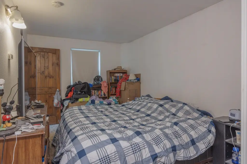 Picture 29