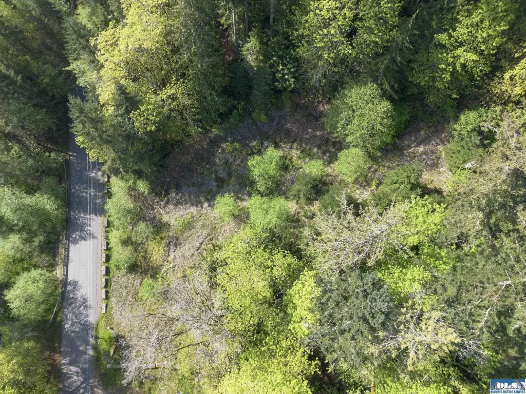 Picture 25
