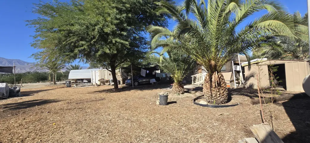 Picture 41