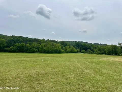 Blaine, TN Land For Sale