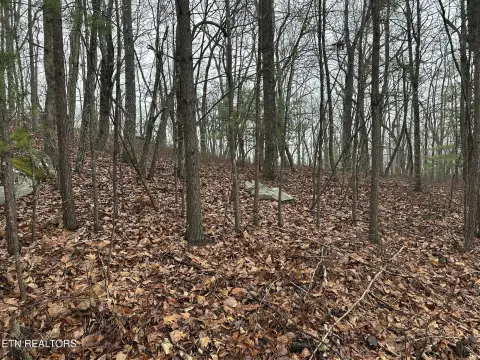 Fairfield Glade Land For Sale