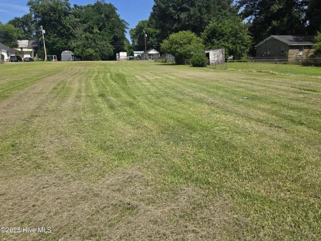 Picture 3