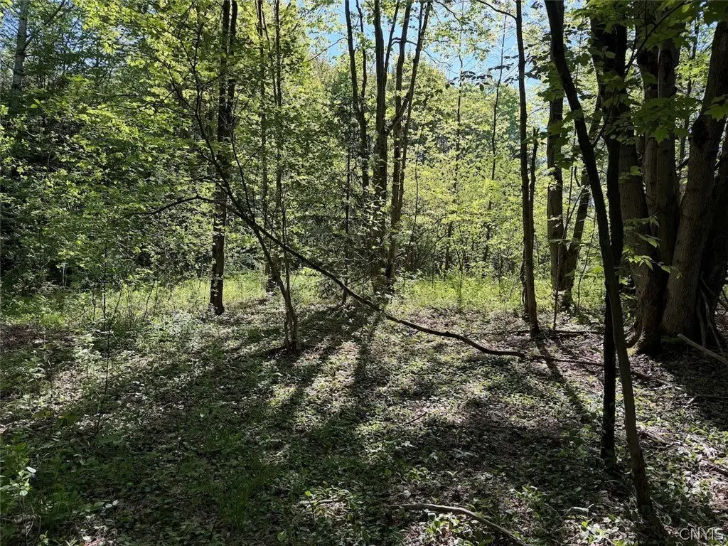 Picture 31