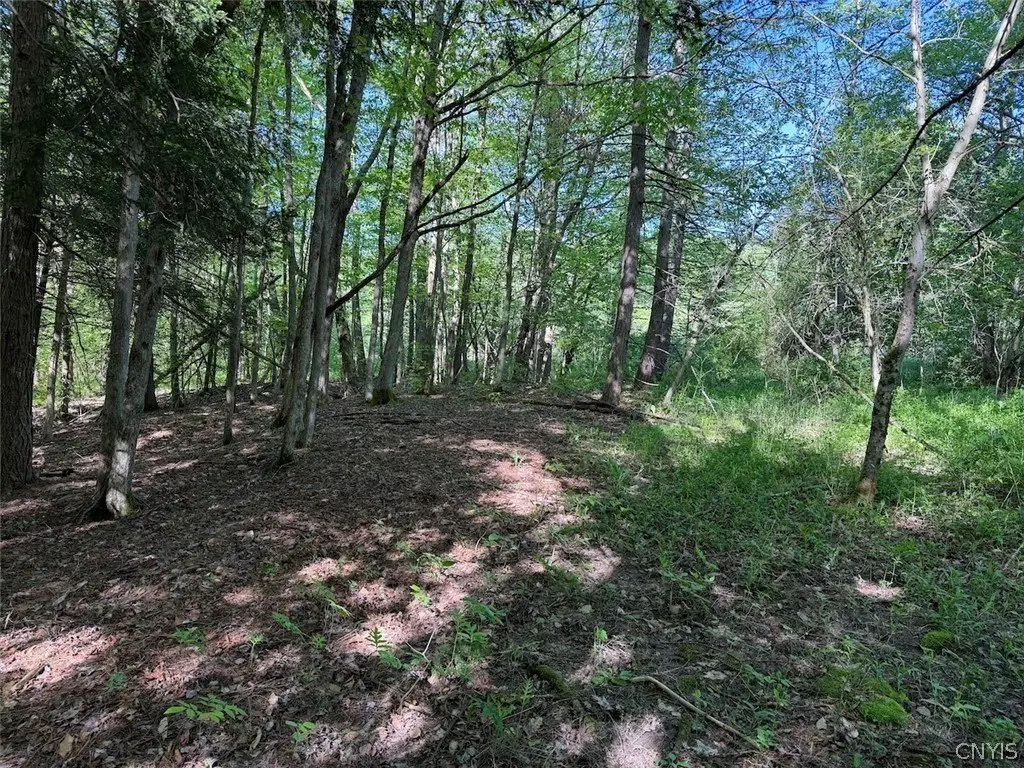 Picture 25