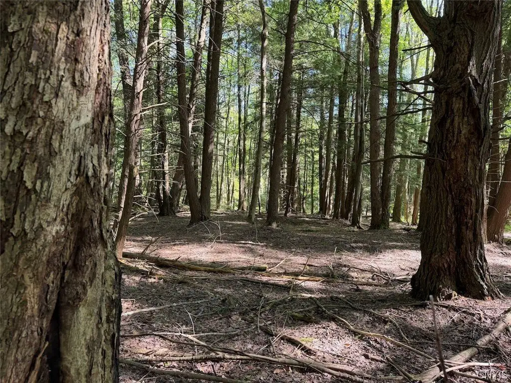 Picture 21