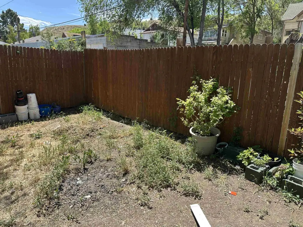 Picture 23