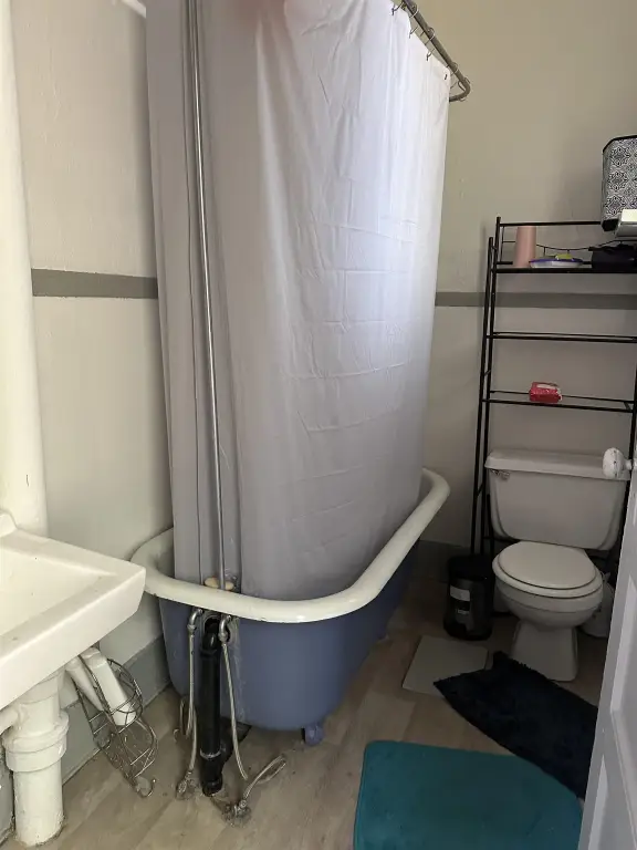 Picture 21