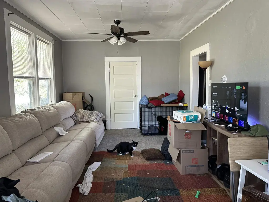 Picture 16