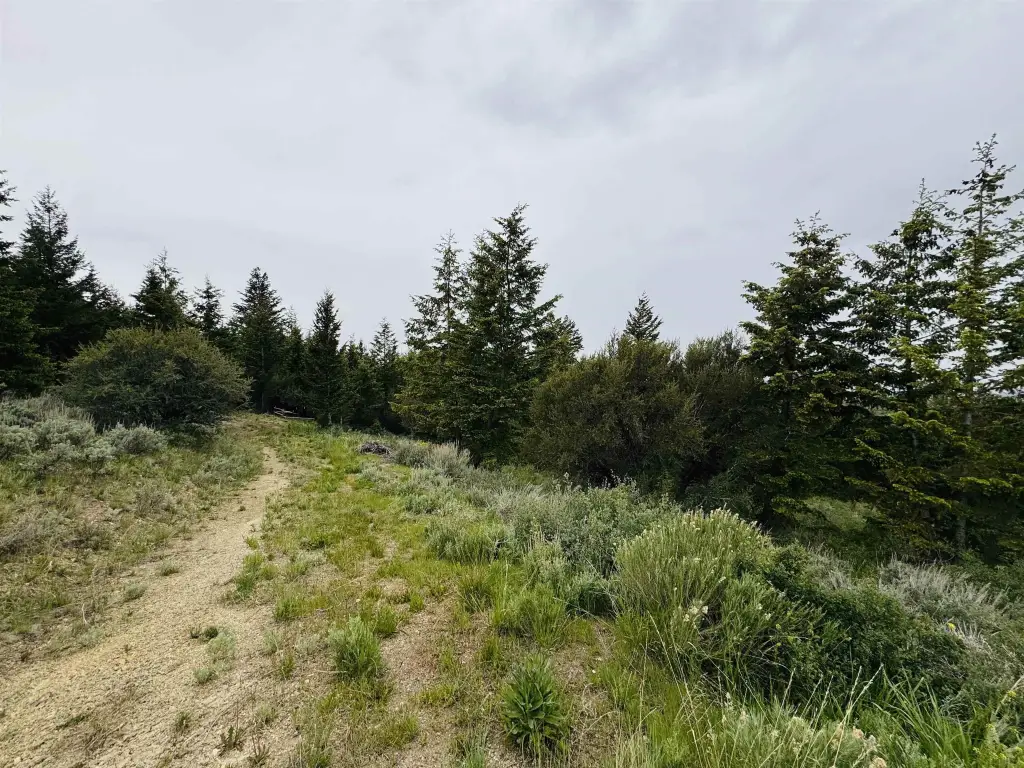 Picture 6