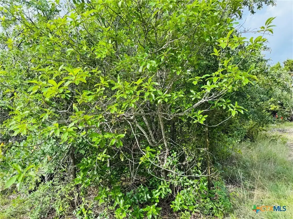 Picture 17