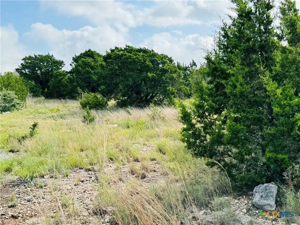 Picture 26
