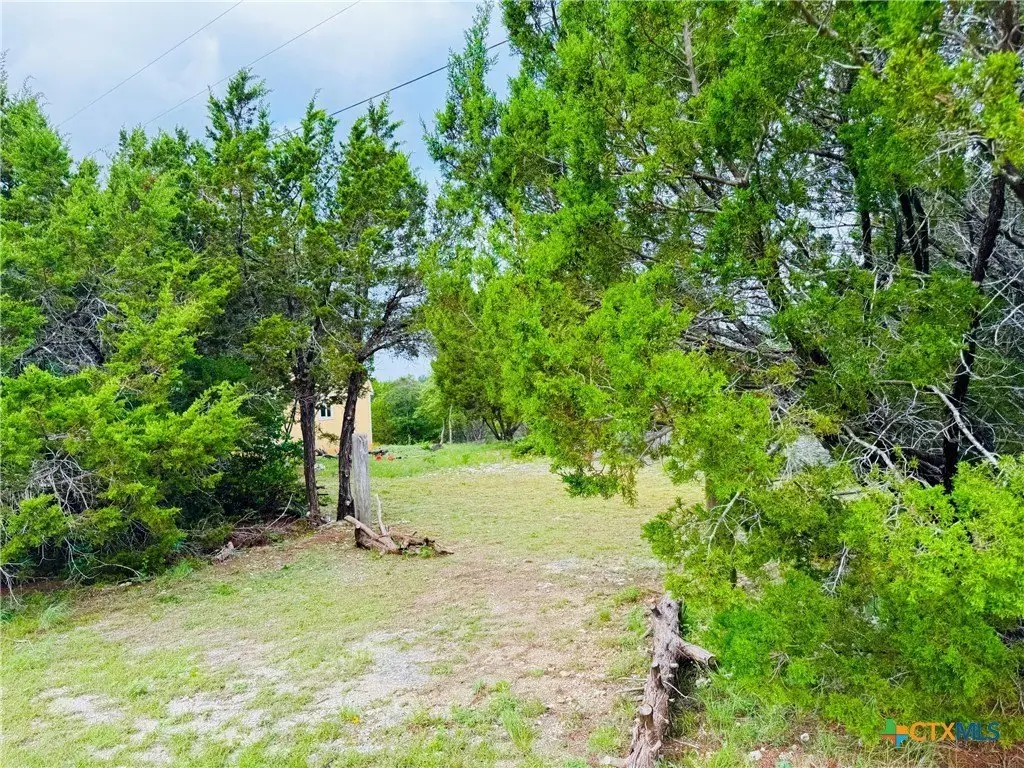 Picture 18