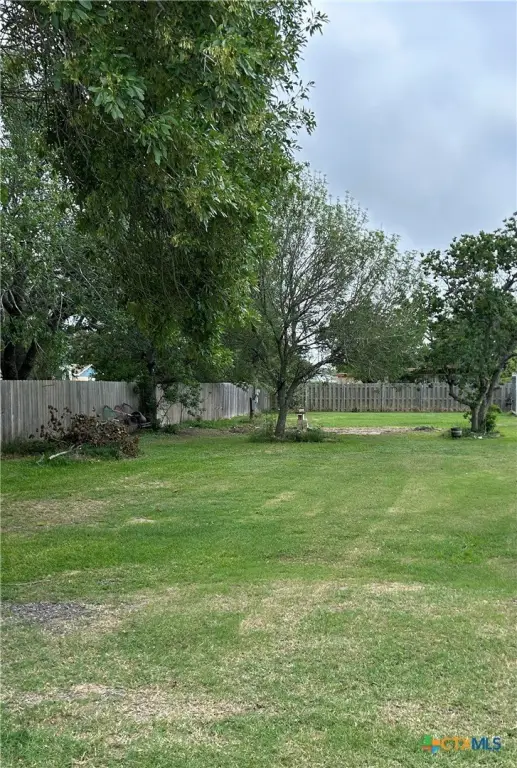 Picture 2