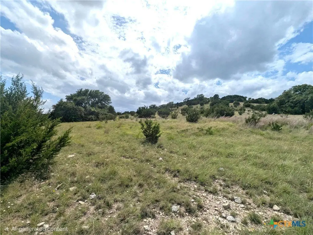 Picture 23