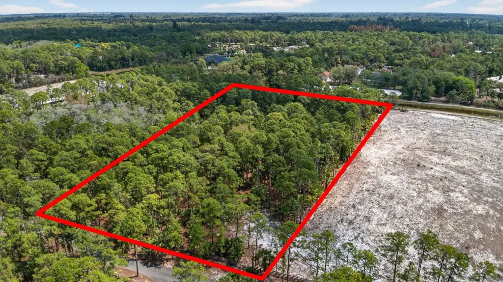 Picture 13