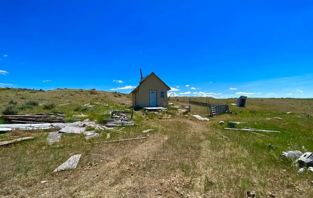 Picture 11