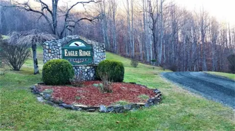 Roan Mountain Land For Sale