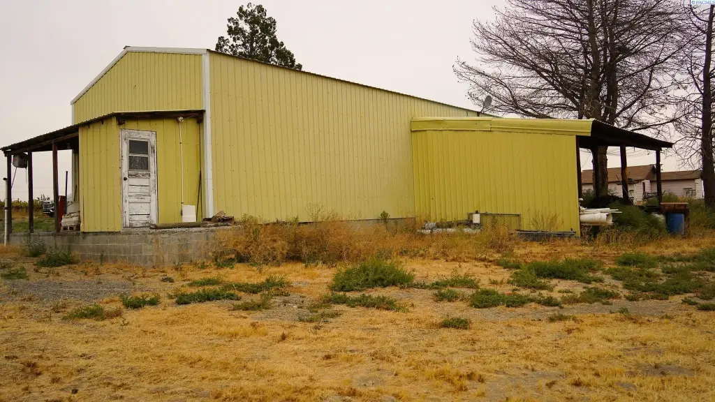 Picture 8