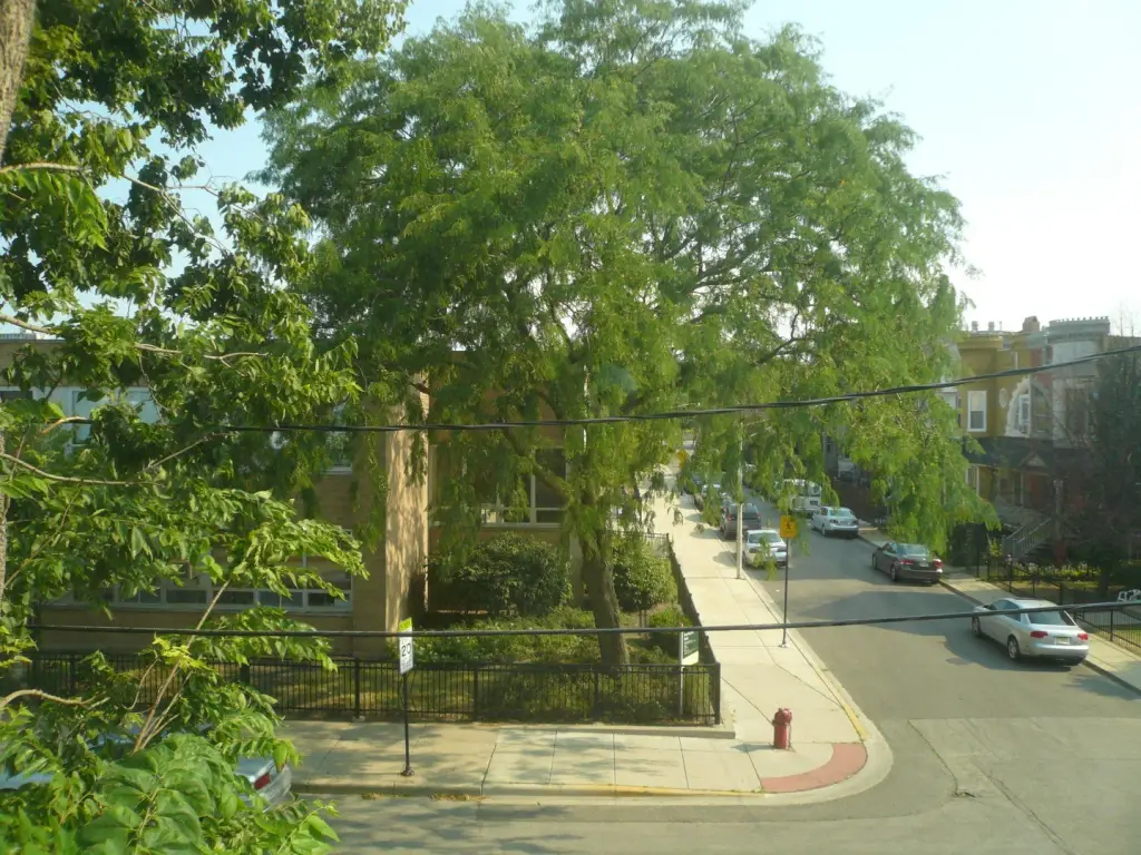 Picture 15