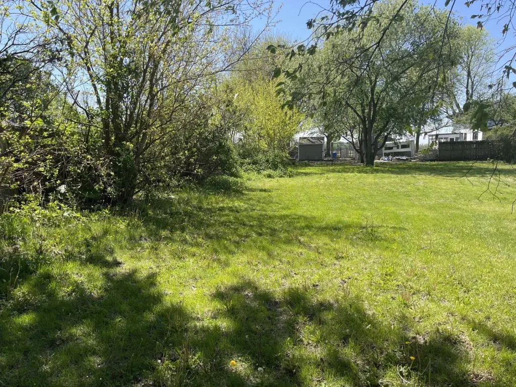 Picture 8